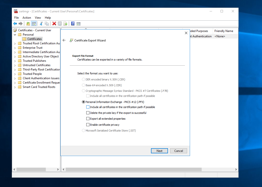 Certificate Export Wizard export file format options