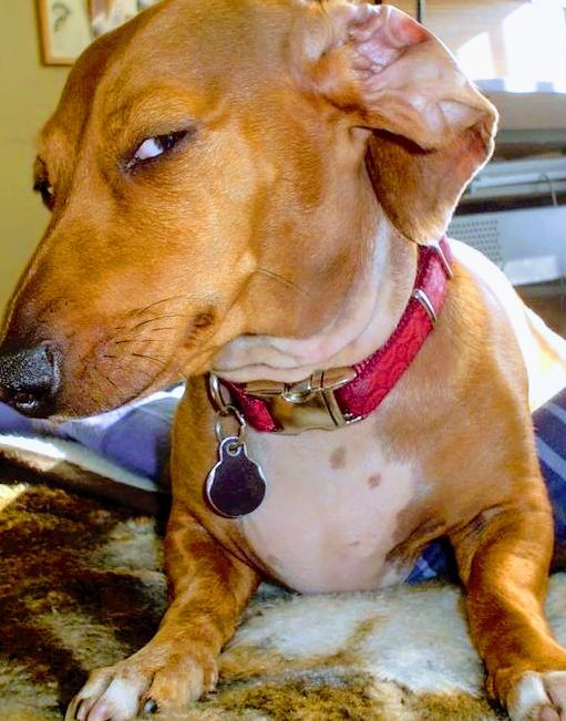 BloodHound MCP